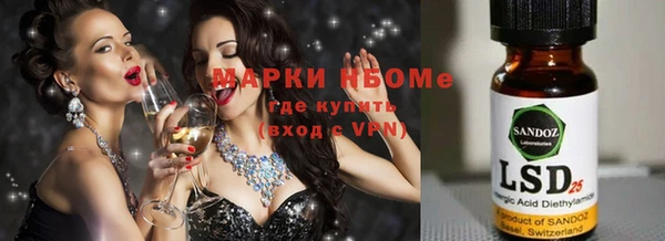 спайс Баксан