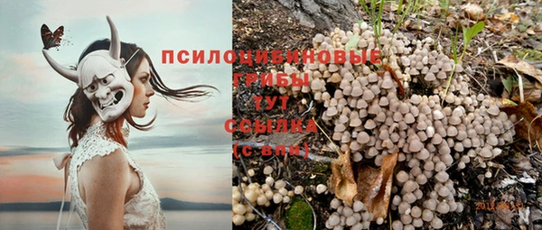 спайс Баксан