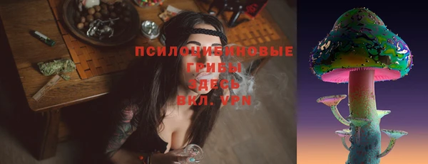 спайс Баксан