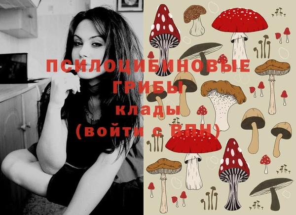соль ск Балабаново