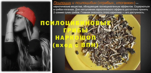 молекула духа Балахна