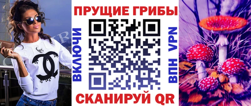 omg ССЫЛКА  Краснокаменск  Псилоцибиновые грибы мухоморы  как найти  